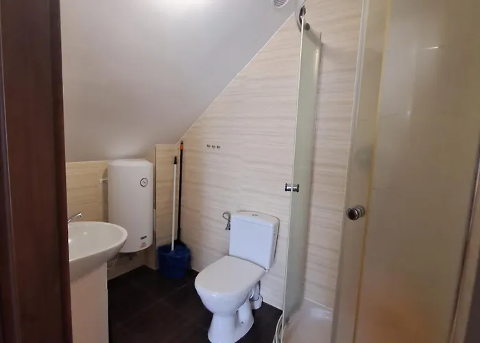 Amber 야로수아비크